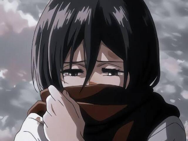 Mikasa