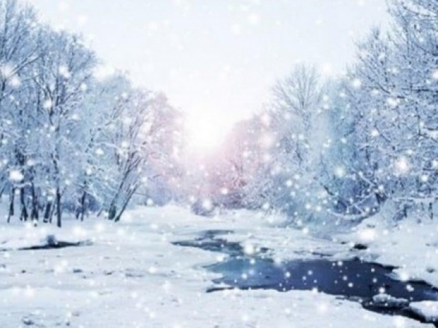 Inverno: frio e introspectivo