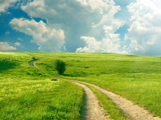 Uma estrada larga, verde e ensolarada.