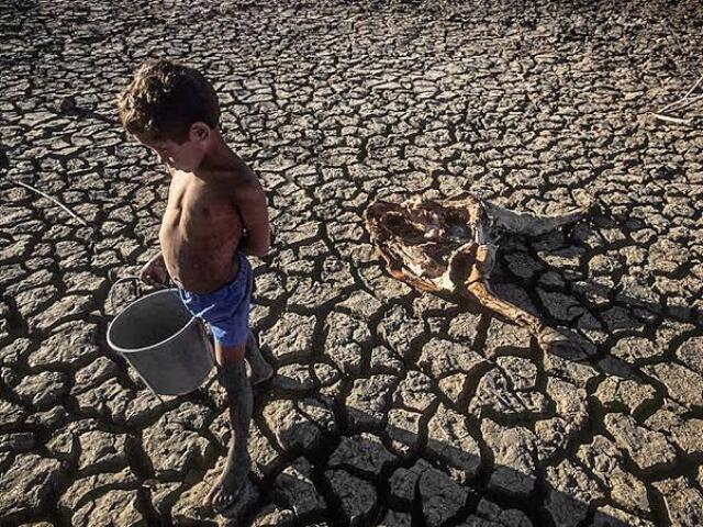 A fome e desmatamento