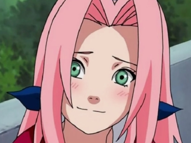 Sakura 🌸