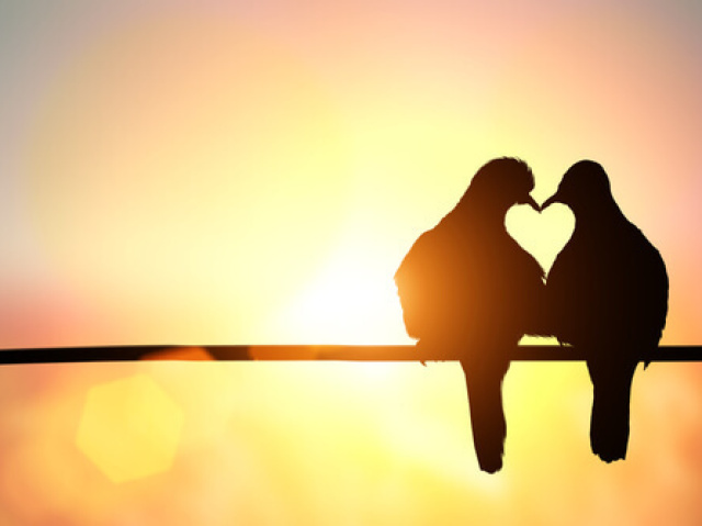 Seu sentimento predominante é o amor