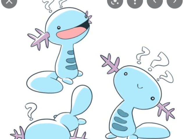 Wooper