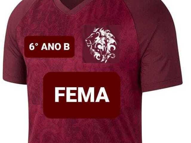 A vermelha com o logo do leão,o nome da turma e da escola na frente e atrás seu jome seu número e os patrocinadores.