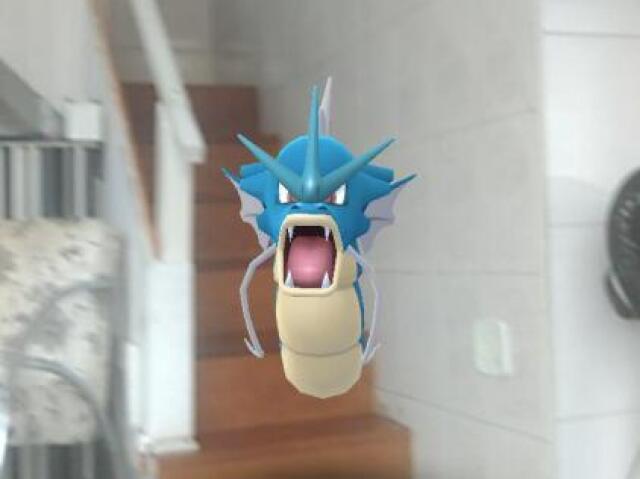 Gyarados