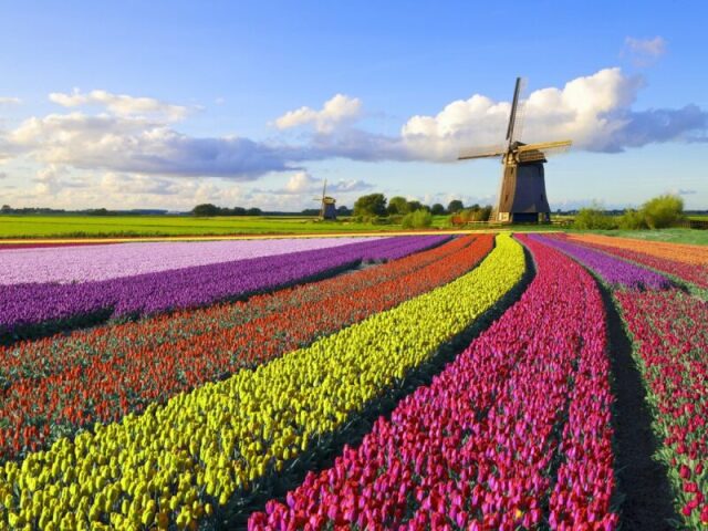 Holanda