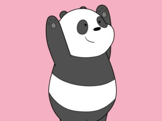 Material de panda!