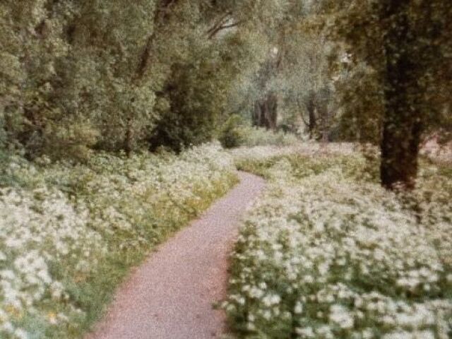 Um caminho é feito por todo o parque. Essa mesma estrada é rodeada por belos jasmins, e seu chão é de pedra.