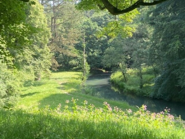 Seguir um caminho estranho,mas a floresta e linda😁