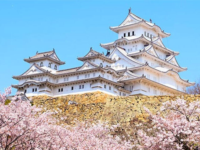 日本のお城はいかがですか? (Gostaria de um castelo japonês?) Um castelo grande, com muitas janelas, rodeado por cerejeiras, o telhado é branco e pontudo.