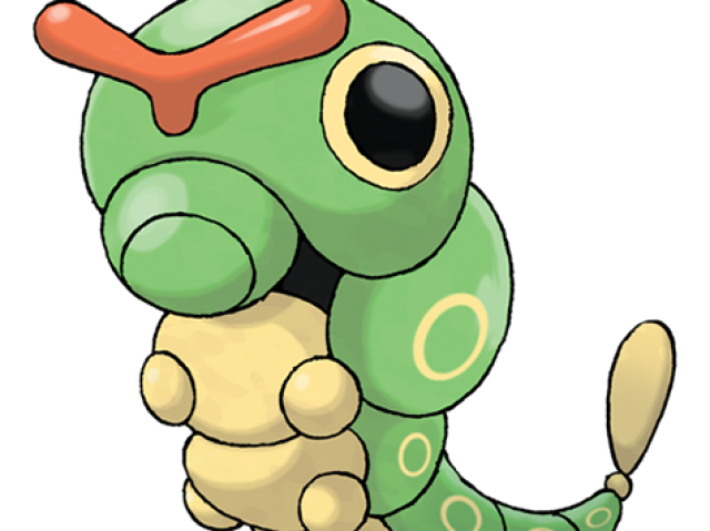 caterpie