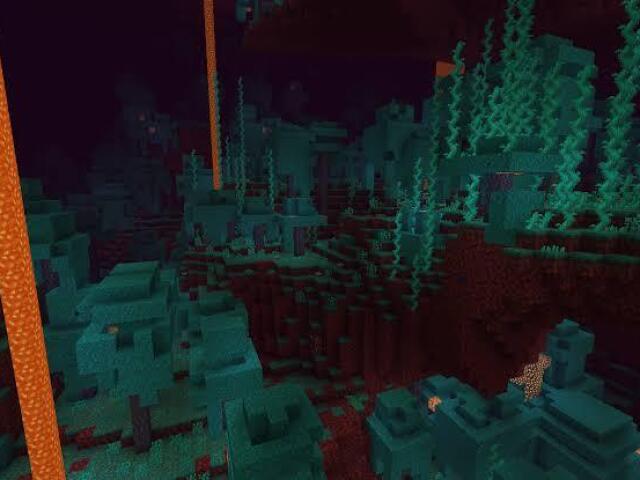 Warped Forest (Floresta Distorcida)