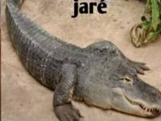 jaré