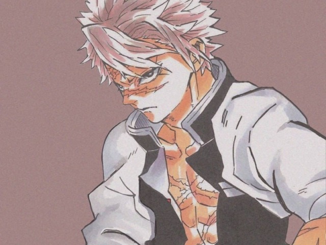 Sanemi Shinazugawa