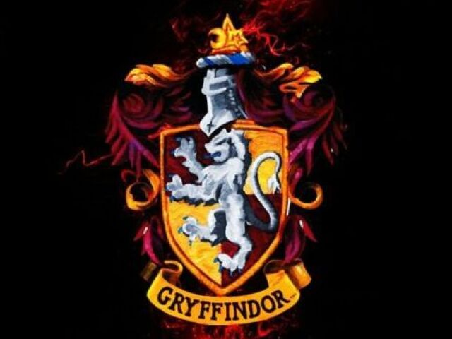Grifinoria ❤️🦁