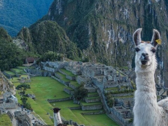 Machu picchu