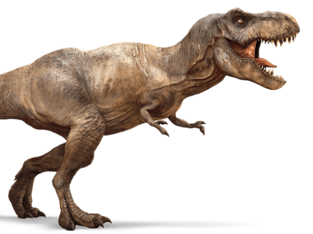 Tiranossauro rex