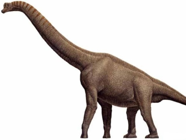 Braquiossauro