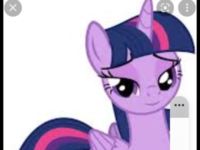 Twilight sparkle