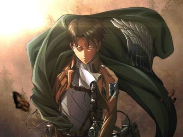 Levi