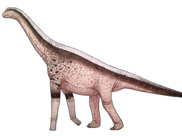 Atlasaurus