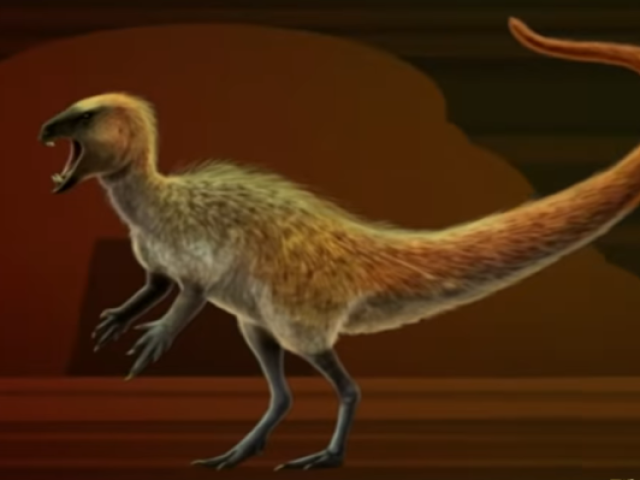 Heterodontosaurus