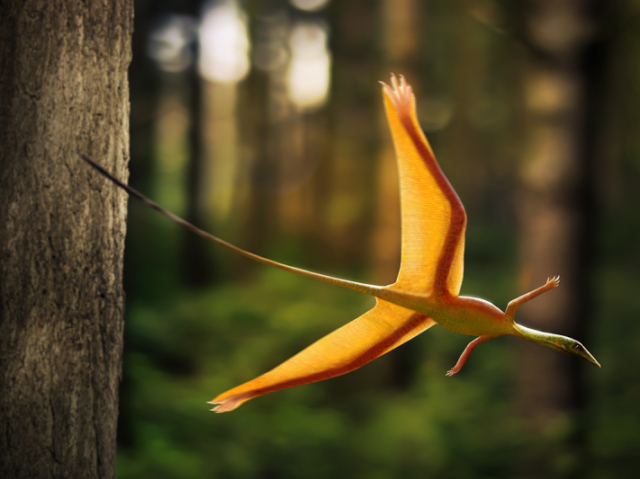 Sharovipteryx