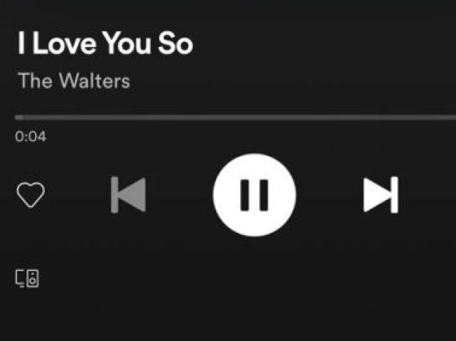 I love you so - the walters
