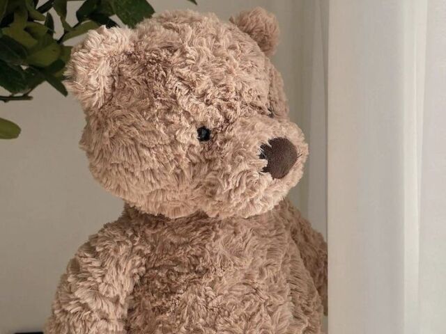 um urso teddy bear!