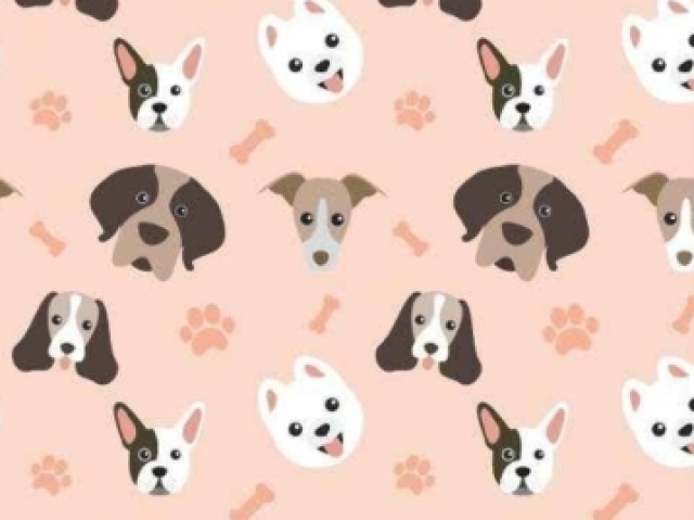 🐶cachorro🐶