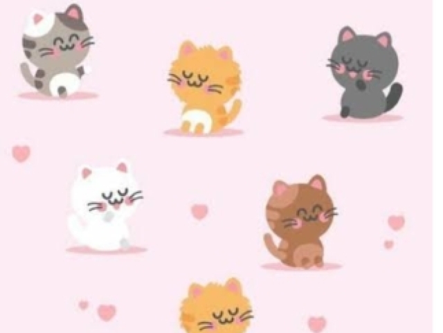 🐱gato🐱