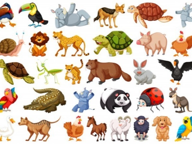 Que animal você seria?