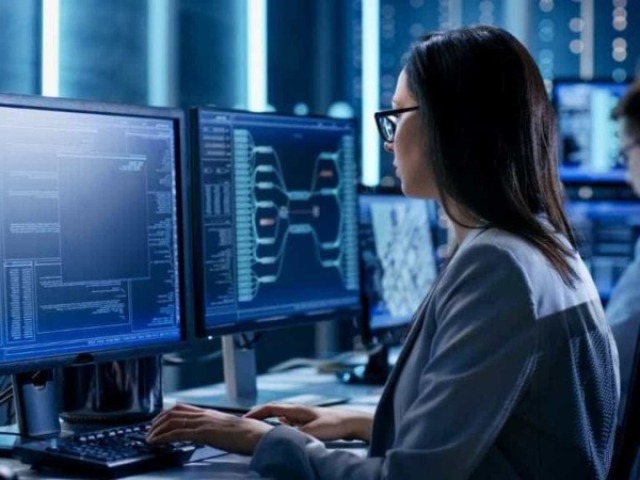 Programador
