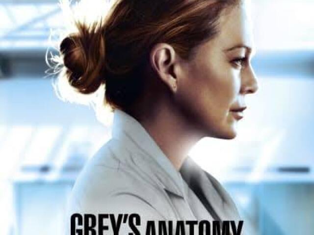 greys anatomy