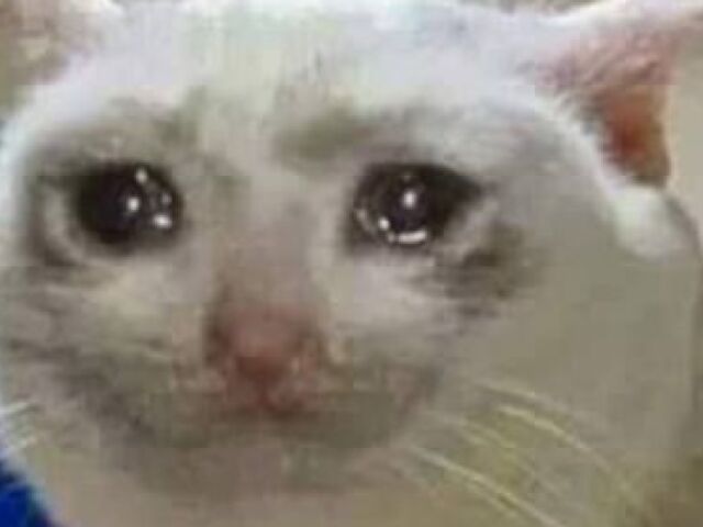 Meio ruim