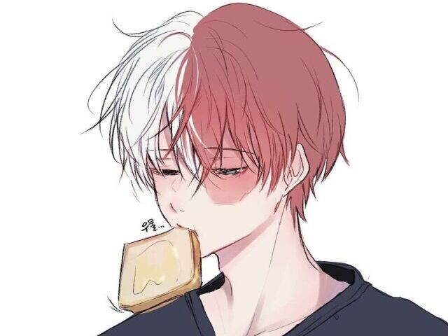 Todoroki Shoto