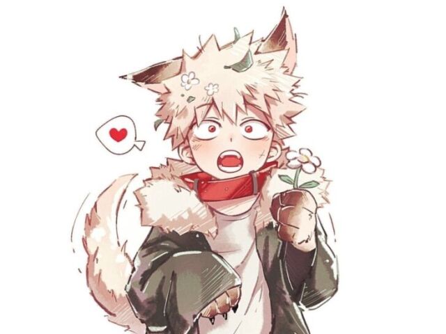 Bakugo Katsuki