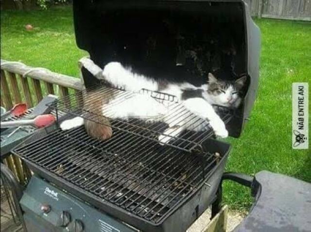 Churrasco de gato 😋😋😋😋