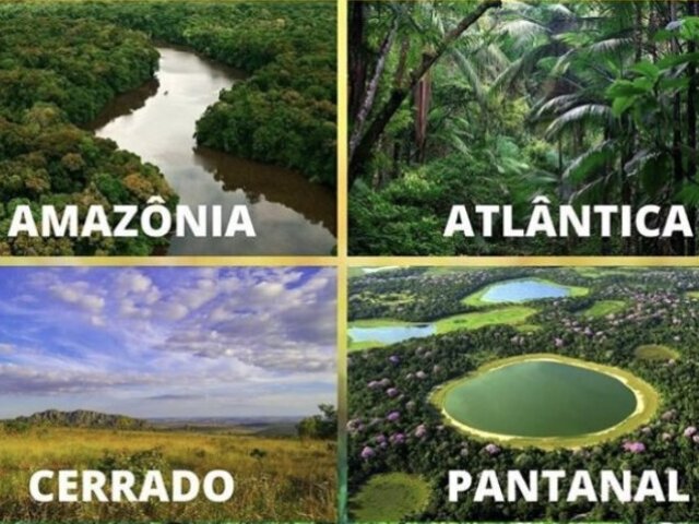 Você sabe o que é bioma?