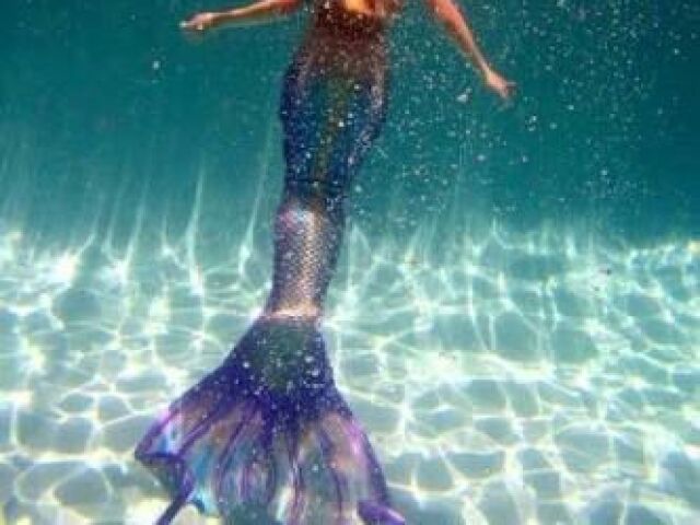 ✨Sereia✨