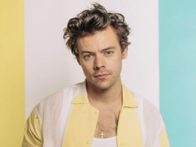 Adivinhe a música de Harry Styles com apenas uma frase
