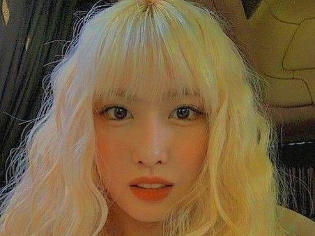 🦋 Momo 🦋
