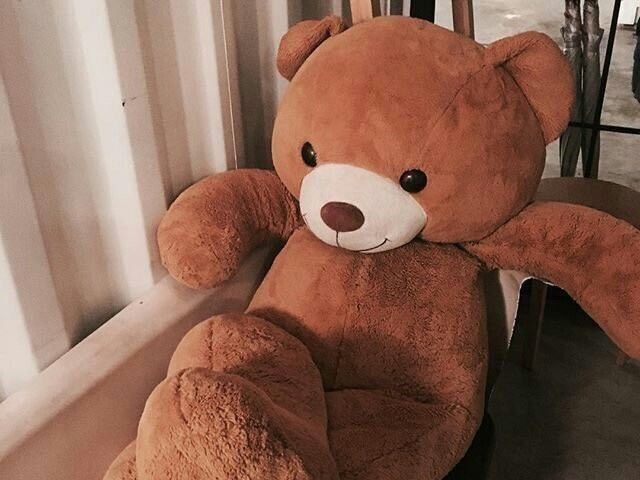 Urso de Pelúcia gigante!