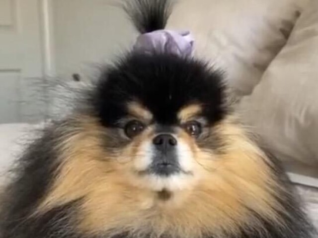 mini yeontan 
(entendedores entenderão.)