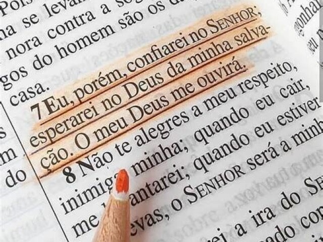 Vamos ver os seus resultados