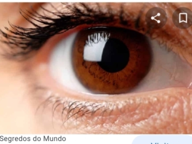 Castanho (peguei do Google, sim)