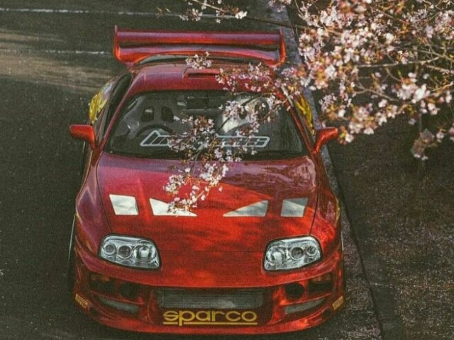 Supra