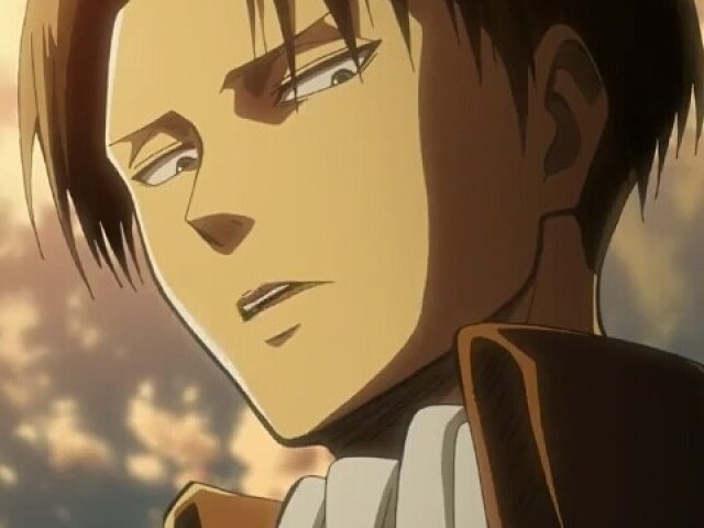 Levi