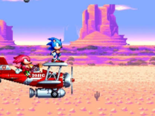 Miragge Sallon pois tem o knuckles