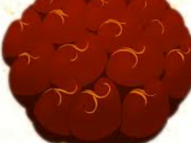 Magu